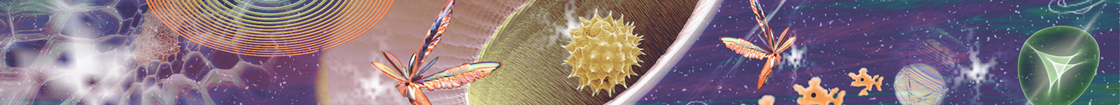 FELMI Seminar Talk: Friday, June 13th, 09:30 a.m.