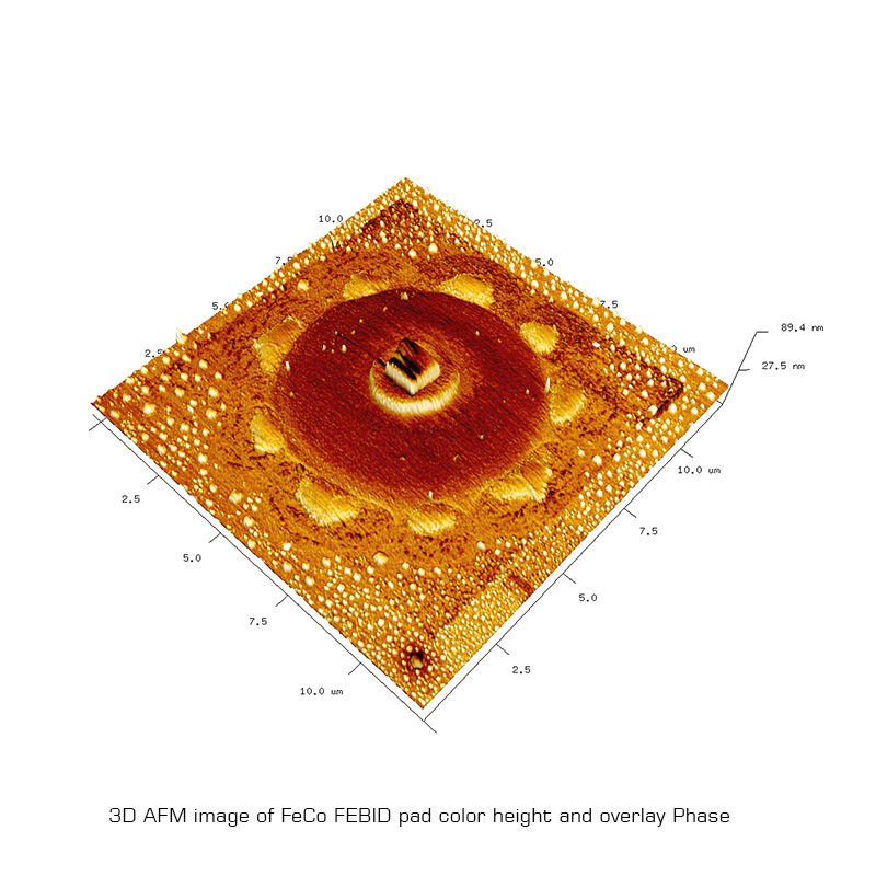3D AFM image of FeCo FEBID pad color height and overlay Phase