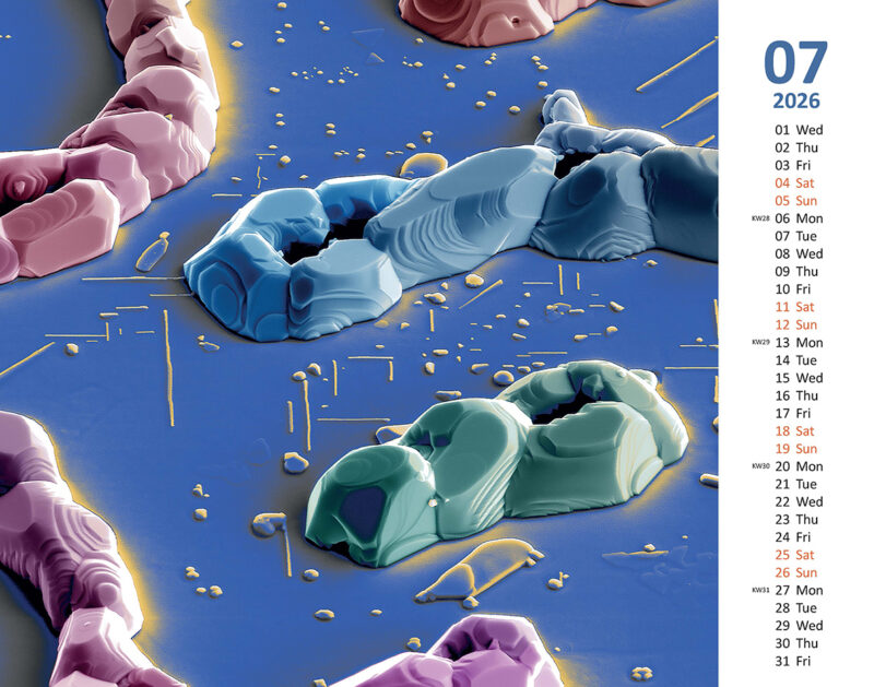 Kalender-fertig_Seite_08kl