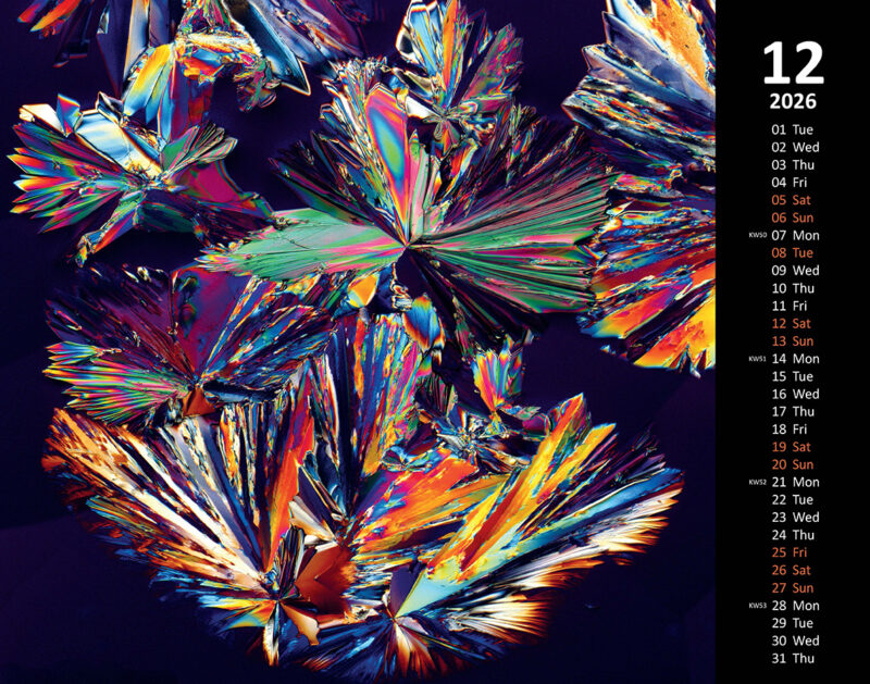 Kalender-fertig_Seite_13kl